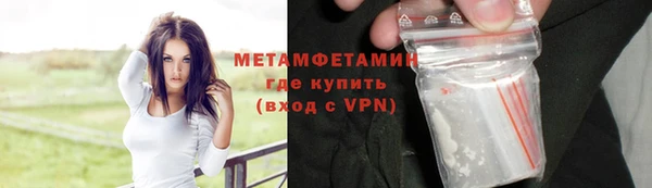 прущие грибы Покровск