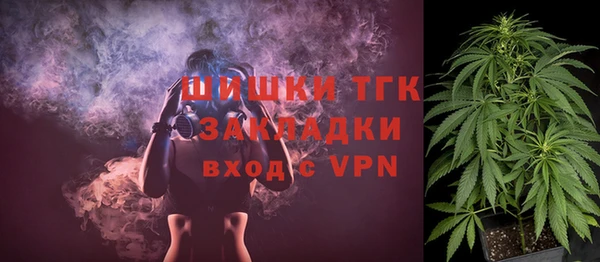 гидра Верея