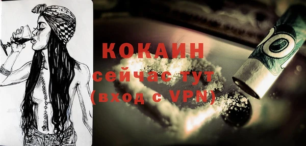 гидра Верея