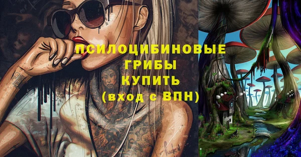 гидра Верея